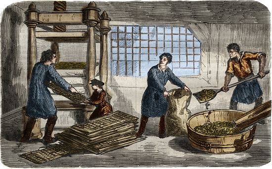 Fabrication du sucre : extraction du jus de pulpe de betterave. La pulpe est entassée dans des sacs empilés sous le plateau d'une presse hydraulique. Gravure extraite du Musée des Sciences (1859)