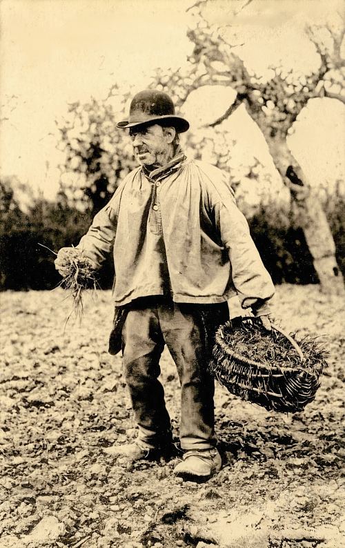 Un ramasseur de chiendent. Carte postale éditée vers 1910 et appartenant à la série La Basse-Normandie pittoresque