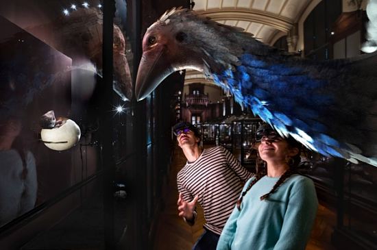 Revivre, les animaux disparus en réalité virtuelle : aepyornis ou oiseau éléphant