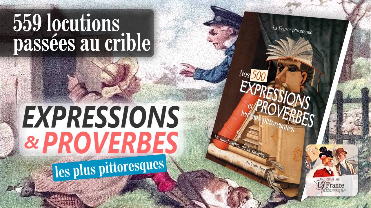 Livre : Dictionnaire de nos 500 expressions et proverbes les plus